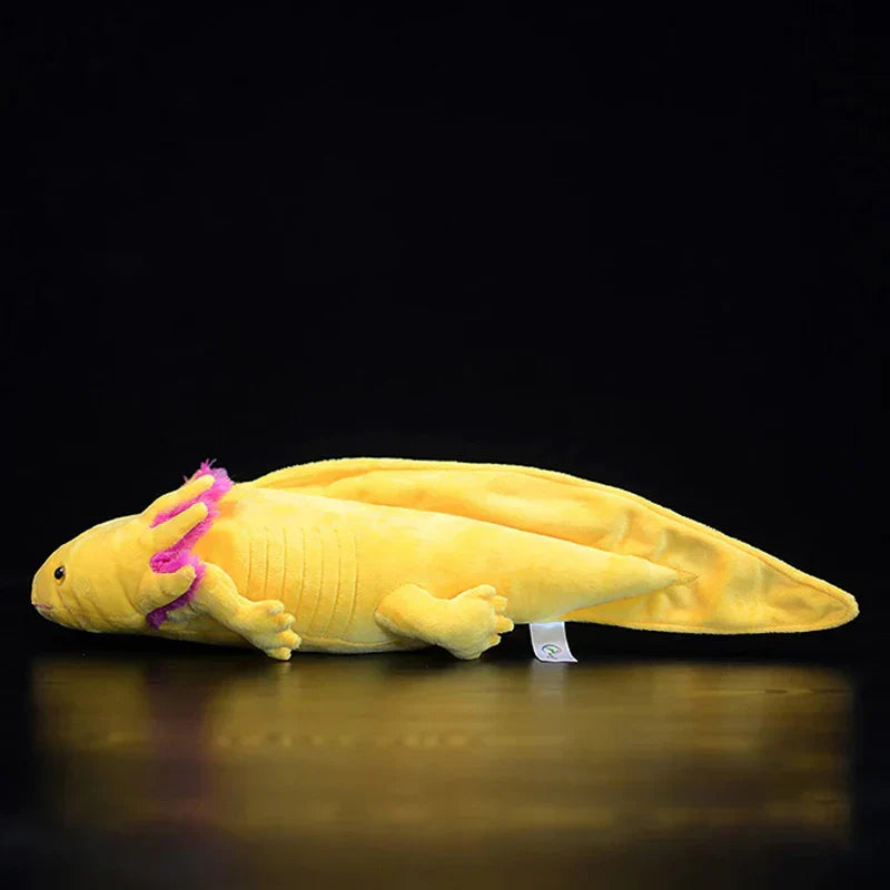 Realistic axolotl plush