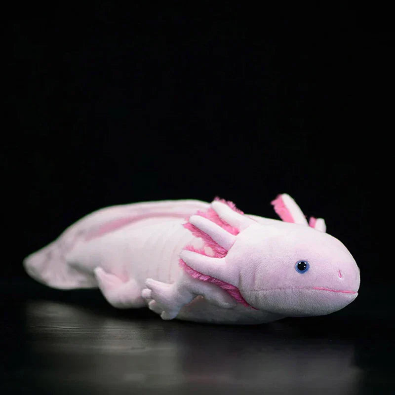 Realistic axolotl plush