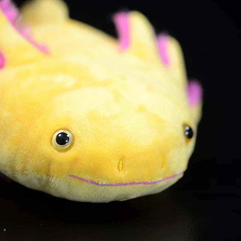 Realistic axolotl plush