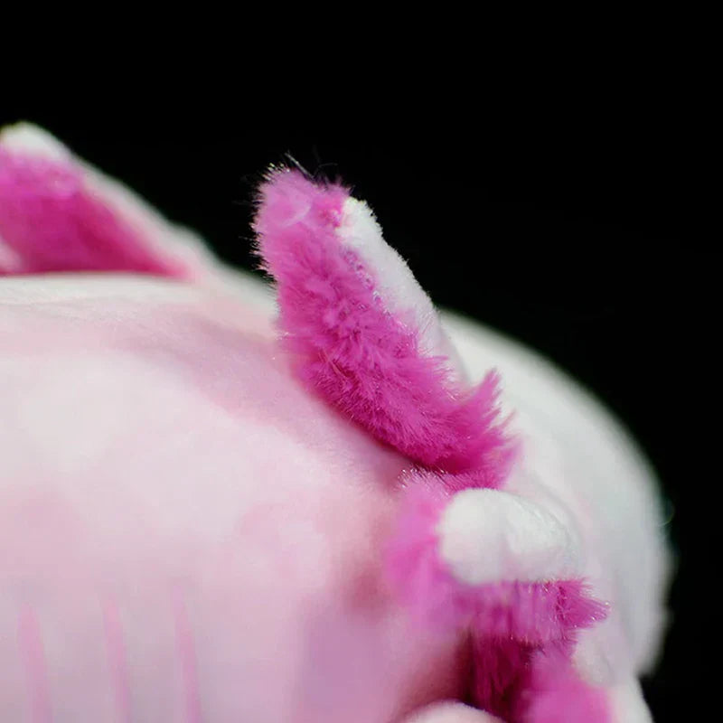 Realistic axolotl plush