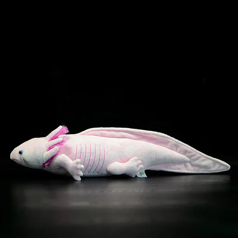 Realistic axolotl plush